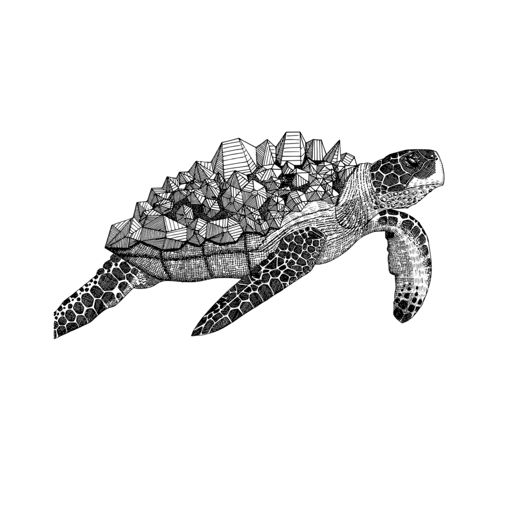 Sea Turtle